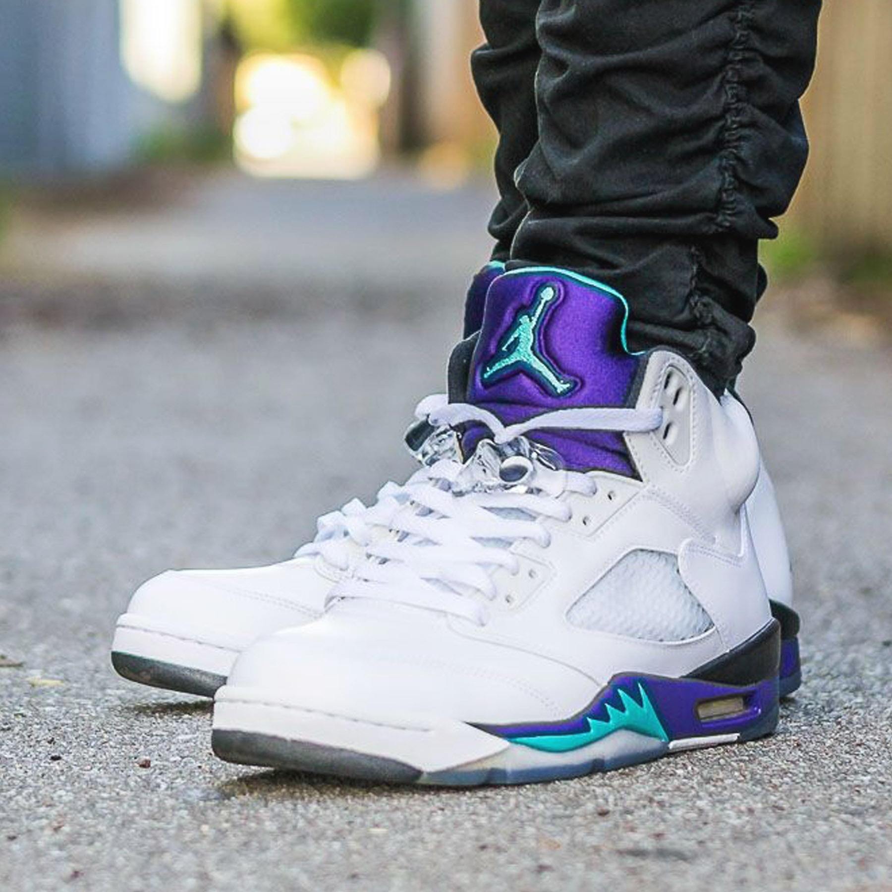 Air Jordan 5 Retro Grape 2013 Kick Game